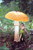 collage fairy mushroom shrunken_woman outdoors nature servious