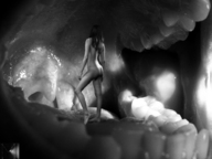 gentle nude vore tongue teeth shrunken_woman throat inside_mouth point_of_view