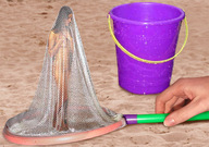 collage beach hand shrunken_woman sand captured net bucket