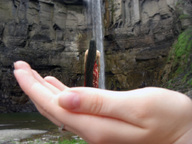 collage handheld waterfall unknown_artist outdoors giant_palm