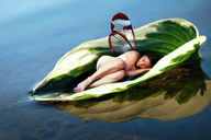 collage sleeping water fairy brunette legs leaf
