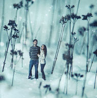 collage couple shrunken_men shrunken_woman snow outdoors nature plants