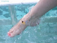 collage feet water climbing underwater shrunken_men red_nails magmag giantess_feet holding_on