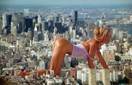 city blonde crawling lingerie sweaty bare_butt