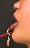 vore dinner lips asian table headphones shrunken_man chopsticks sushi azn digital_render