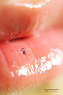 collage micro climbing shrunken_person giantess_lips