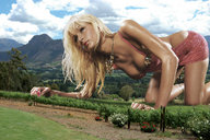 giantess collage vore blonde cleavage crawling clouds paris_hilton sky countryside accasbel vineyard