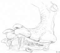 drawing crush feet anthro dragon monochrome giant domination dinosaur foot_crush bus reptile under_foot scaly 5-d