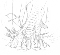 drawing crush feet furry dragon monochrome giant blood domination foot_crush cruel reptile under_foot scalie 5-d talons