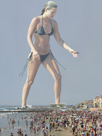 collage mega blonde swimsuit beach helicopter wonderslug sand people crowded ali_larter crushed_helicopter