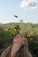 giantess collage vore blonde shrunken_men open_mouth falling ggd