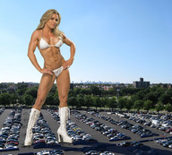 folders_1816_20121204_1247017470.jpg