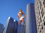 folders_1335_20121126_1189532396.jpg