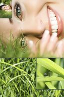 In the grass.jpg