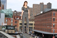 folders_2205_20121204_1574701049.jpg