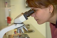 collage micro masturbation blonde shrunken_men microscope examination sangroid viewing