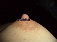 breasts nipples micro city mega buildings skyscrapers erect_nipple