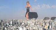 folders_2043_20121204_1999541640.jpg