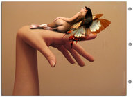 collage wings handheld barefoot finger fairy hand shrunken_woman small555