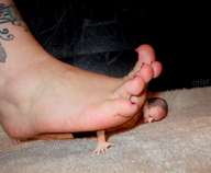 crush collage toes barefoot domination shrunken_men shrunken_man pinned under_foot pedicure crlvr tattoo miss_a