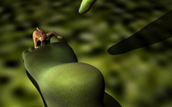 nude feet size_difference alien barefoot finger shrunken_woman garden palislama green_skin digital_render
