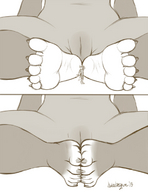 drawing crush feet furry anthro soles paws between_feet arabesque possum marsupial