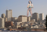 folders_1628_20121203_1801649659.jpg