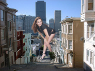 folders_1339_20121126_1621171077.jpg