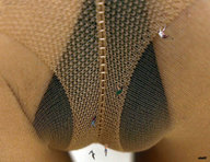 chief collage micro pussy nylons shrunken_people panty_hose