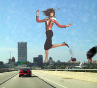 folders_487_20121122_1154536696.jpg