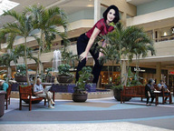 folders_491_20121122_1446768021.jpg