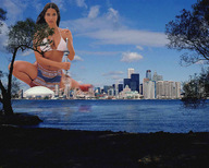 folders_293_20121122_1900289131.jpg