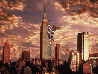 folders_270_20121122_1150089068.jpg