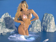 folders_238_20121122_1740897412.jpg