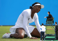 venus-knees.jpg
