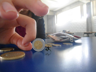 toy hanna flick inherhand coin