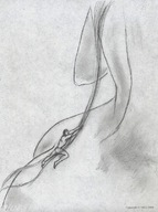 drawing giantess monochrome long_hair nikko hanging_on no_background