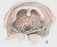 drawing giantess vore color tongue uvula swallowed nikko in_mouth_pov