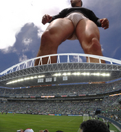 collage giant low_angle stadium bulge soccer football crowds soccer_players soccer_field facial_hair world_cup