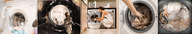 collage shrunken_men unaware shrunken_woman shrunken_man laundry washing_machine