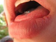collage vore shrunken_woman midyin