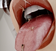 vore tongue saliva shrunken_people open_mouth inside_mouth imminent_vore on_tongue digital_render flagg3d