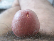collage micro nude penis barefoot pubic_hair cock_vore shrunken_woman source_needed manuel on_penis