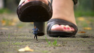 collage toes high_heels sandals foot_crush shrunken_woman pedicure running_away marisa imminent_crush bluebean1