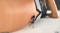 climbing shrunken_woman thighs digital_render fater perelia goddess_perelia play_toy