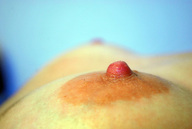 breasts nipples collage micro shrunken_man on_breasts
