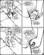 insertion micro furry macro wolf mouse dci