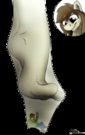 drawing feet furry anthro color toes socks shrunken_man inside_sock no_background looking_at_tiny humanized_pony gift_art fandroit