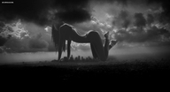 giantess collage landscape city mega monochrome socks skyscraper clouds sky giantessiscool