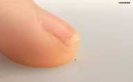 collage micro finger shrunken_person